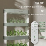 가정 실내 다층 수경채소 스마트 재배기 무토양 재배설비 종채 신기식물 포름알데히드 제거 : 르망르망