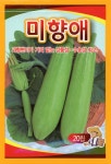 미향애호박씨앗 20립 사카타코리아 : 구씨네씨앗가게