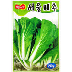 서울배추 20g : 중앙종묘농약사