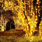 LED 별빛 꼬치 조명 스트링 라이트는 별이 빛나는 야외 장식 작은 전구 텐트 분위기 07.7m50 라이트화이트(듀얼모드) : 너디버디