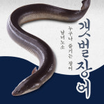 뚝방수산 강화도 갯벌장어 1kg 장어 생물 손질 후 700g~750g : 뚝방수산