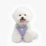 강아지 파스텔 하네스 목줄 리쉬 가슴줄 앞섬방지 H형 X형 애견 소형견 중형견 버클타입 조끼형 : 머니위치