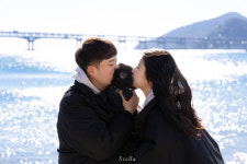 부산스냅(광안리 해운대 흰여울문화마을 삼락공원 송도 다대포 등) 가족 커플 우정 개인 반려동물 : 스텔라픽스냅