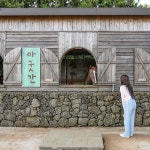 제주 목장카페 밭디 / 제주도 이색자전거 승마 체험 관광지 : 브이패스