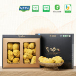 금빛농원 유기농 황금상황버섯 원물 500g 농장직송 연천 한탄강 무농약 재배 국산 : 연천금빛농장