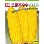 gr초당 옥수수 씨앗 노란옥수수 단맛 corn seed 100립 : 신가네