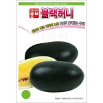gr블랙허니 수박 씨앗 과일 종자 채소 야채 씨 10알 : 신가네