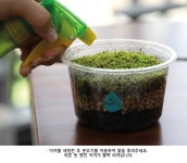테라리움 만들기 키트 미니 이끼 정원 테라리엄 화분 : 문마트