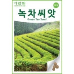 gr1kg 녹차 씨앗 녹차나무 종자 차나무 씨 700~800개 : 신가네