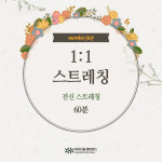 1:1 스트레칭 1회체험(전신) 60분, 언주역 바디다움 필라테스 : 언주역 바디다움 필라테스