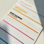 해빗 습관 루틴 만들기 갓생살기 목표 트래커 투두 체크리스트 플래너 비비드1 6개월 : 생활특별시