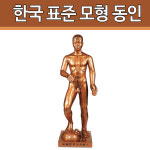 한국 표준 침구 전신모형 동인 86cm : 유어스메디