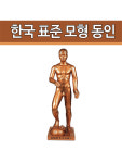 한국 표준 침구 전신모형 동인 86cm : 유어스메디