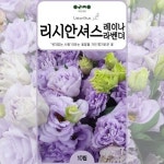 리시안셔스 꽃씨앗 10립 레이나라벤다 연보라 절화 꽃씨 모종 : 이룸정원