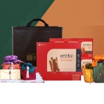 천궁 삽주 뿌리 함유 종근당 홍삼 선물용 중년남성 선물세트 : 노잇스토어