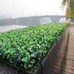 마당인조잔디 베란다인조잔디 녹색 잔디 인조 식물 정원 잔디블럭 조화잔디 : 엔쵸이마켓