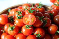 GAP 논산금홍농장 붉은금 고당도요요토마토 30년장인 당일수확발송 로얄과, 2kg, 1개 : 금홍농장