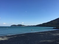 거제도 우뭇가사리 (거제 학동산) 자연산 우무 200g : 거제진선장