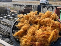 거제도 우뭇가사리 (거제 학동산) 자연산 우무 200g : 거제진선장