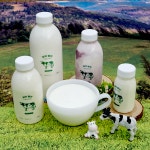 헷지밀키 수제 플레인요거트 500ml(무가당) 산울타리목장 : 헷지 밀키