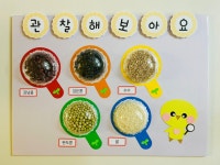 DIY곡식관찰교구 [유치원 과학영역 관찰해보아요] : 조물딱팩토리