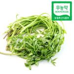 [무농약/당일수확] 친환경 청도 한재미나리 500g 1kg 2kg 4kg : 절과당