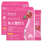 본트비 효소 밸런스 효소 5종 유산균 함유 아밀라아제 프로테아제 석류맛 30포 : 본트비