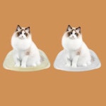 펫베드 애견소파 고양이 창문 퍼치 애완 침대 창틀해먹 투명해먹 : 보이삼