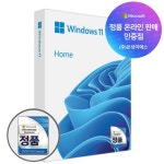 마이크로소프트 Windows 11 Home FPP 정품USB [온라인공인인증점] : 은성이에스
