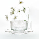 [마르디메크르디X아르노글래스] 컵앤소서 마르디 플라워 2 set : ARNO GLASS