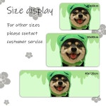 거실바닥매트 문짝 발 목욕 매트 복도 두두 및 부부 입구 도어매트 귀여운 카펫 러그 주방 맞춤형 거실 가정용 : 추추추상회