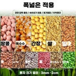 파종기 이식기 고추 콩 씨앗 옥수수 : 레인보우커머스