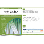부드러운 금장 외대파 씨앗 대파씨 종자 : 츼츼상점