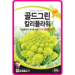 칼리플라워씨앗 50립 / 골드그린 브로콜리 종자 쌈 채소씨앗 키우기 : 아진종묘 꽃씨몰