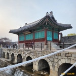 정조의 꿈의 도시, 같이 보는 수원화성과 화성행궁 도슨트 투어 : 투어플레저
