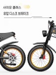 FTN의 새로운 전기 보조 자전거 20 인치 큰 타이어 7 단 변속 산악 모토 크로스 배터리 : 웨이브마트