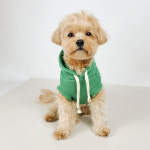 그루밍댕이 브리즈 니트 후드 S-2XL, 3 colors : 그루밍댕이