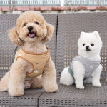 패리스독 큐트덕 패딩 하네스옷 2colors S-L 강아지가슴줄 : 르쁘띠숑