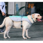 여름 강아지 쿨 조끼 애견 아이스 쿨링 베스트 L 여름 산책 : 민이사랑마켓