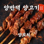 양반댁 양고기 양꼬치 큐브 (400g) 손질된 양갈비 양깍두기 양꼬지 (소스제공) : 양반댁양고기