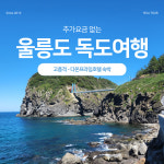 서울 경기출발 울릉도 독도여행 2박3일 [다온프라임호텔] 추가요금 없는 다포함 노쇼핑 : 예주항공여행사
