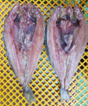 버터플라이 할복 임연수 5Kg : 수산온마켓