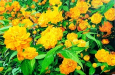 [유화]  황 매화 2   12호 : 갤러리 일희