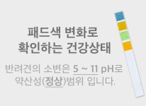 강아지 건강체크  배변패드 대형 프리미엄 기능성 레인보우패드 60x75 사이즈 30매60g : 멍스터주식회사