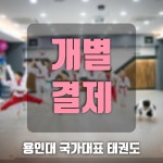[용인대국가대표태권도] 개별결제 : 용인대국가대표태권도