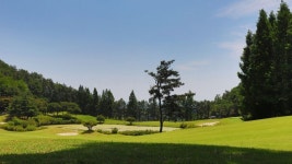 떼제베cc 1박2일 골프 충청도골프장 : 자이언트 골프패키지