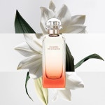 에르메스운자르뎅수르라라군 에르메스 향수 오드뚜왈렛 EDT 100ml : juneplus