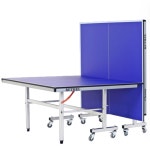 탁구대 세트 18mm상판 이동식 : 셀워스