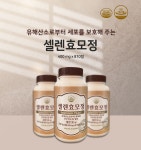 뉴랜드 올네이쳐(뉴랜드알로에) 셀렌효모정 : 뉴랜드제니