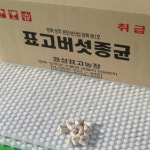 명장 표고버섯 종균키트 1판(606구) : 참나무박차고